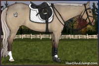 Horse Color:Silver Brown Roan Dun 