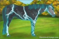 Horse Color:Thunderstruck Black 