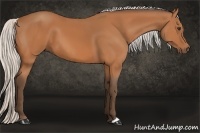 Horse Color:Silver Bay 