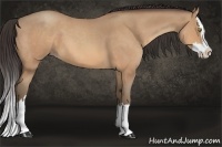 Horse Color:Amber Champagne Roan Splash 