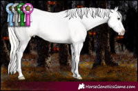 Horse Color:Silver Brown Appaloosa 