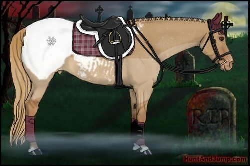 Horse Color:Red Dun Varnish