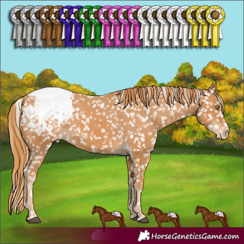 Horse Color:Chestnut Snowflake Varnish