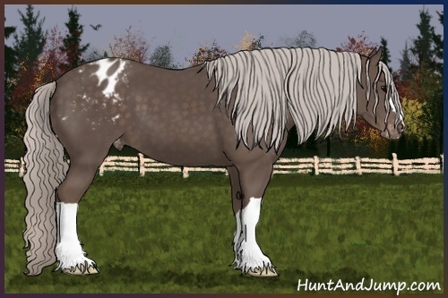 Horse Color:Silver Black Varnish 