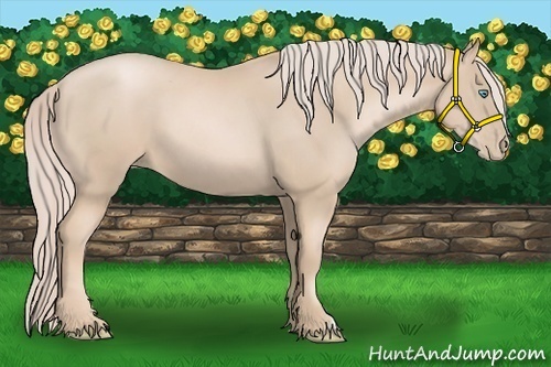 Horse Color:Palomino Pearl 