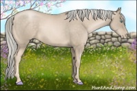 Horse Color:Chocolate Palomino Pearl Sabino 