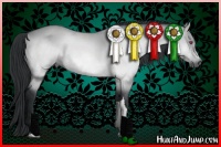 Horse Color:Bay Chinchilla Dun 