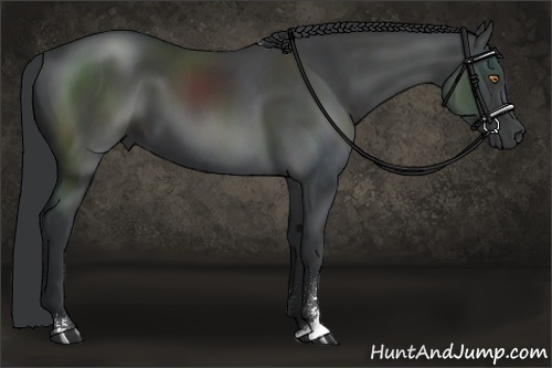 Horse Color:Black Sabino 