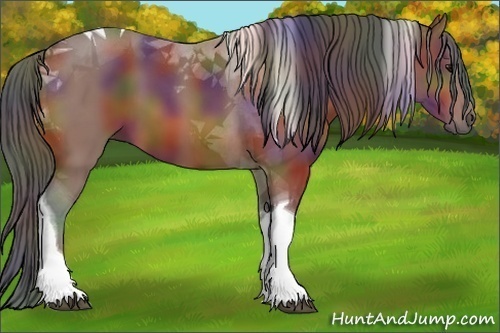 Horse Color:Nacre Bay Tobiano 