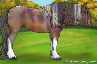 Horse Color:Nacre Bay Tobiano 