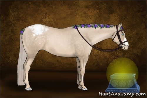 Horse Color:Chocolate Palomino Pearl Appaloosa