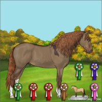 Horse Color:Liver Red Dun 