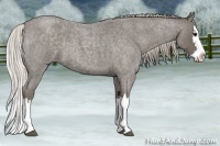 Horse Color:Silver Blue Roan Splash