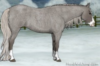 Horse Color:Silver Blue Roan Splash 
