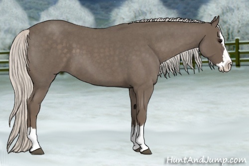 Horse Color:Silver Blue Roan Splash 