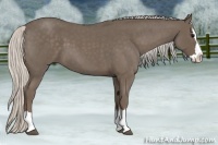 Horse Color:Silver Blue Roan Splash 