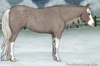 Horse Color:Silver Blue Roan Splash 