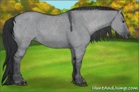 Horse Color:Grullo Chinchilla 