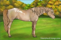 Horse Color:White Spotted Liver Chestnut Pearl