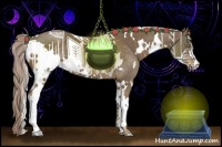 Horse Color:White Spotted Chocolate Palomino