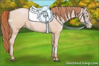 Horse Color:White Spotted Buckskin Pearl 