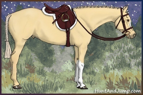 Horse Color:Palomino Dun