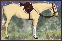 Horse Color:Palomino Dun 