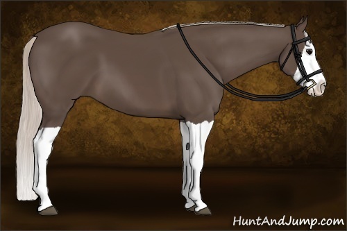 Horse Color:Silver Black Splash 
