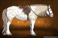 Horse Color:Palomino Ice Roan Dun Splash Appaloosa 