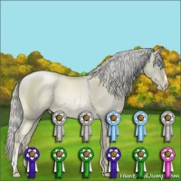 Horse Color:Chocolate Palomino Pearl Mushroom 