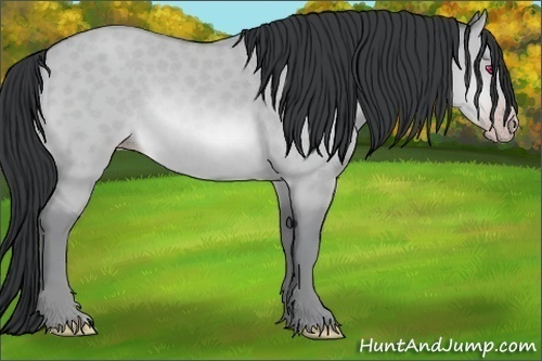 Horse Color:Sable Champagne Chinchilla Dun