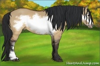 Horse Color:Brown Dun Frame