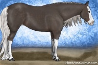 Horse Color:Silver Black Splash Appaloosa