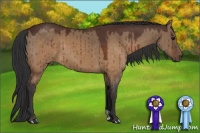 Horse Color:Brown Dun 