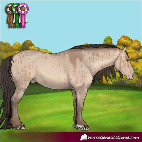 Horse Color:Sable Champagne Dun Brindle