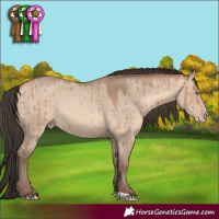 Horse Color:Sable Champagne Dun Brindle