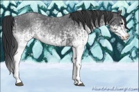 Horse Color:White Spotted Blue Roan Rabicano  and White Spotted Blue Roan Splash Rabicano 