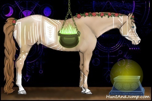 Horse Color:Chestnut Pearl Sabino 