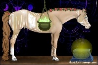 Horse Color:Chestnut Pearl Sabino 