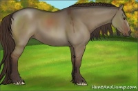 Horse Color:Liver Red Dun 