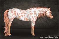 Horse Color:Watercolor Chestnut Appaloosa 