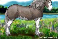 Horse Color:Silver Black Splash 