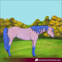 Horse Color:Watercolor Buckskin 