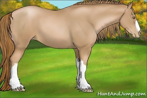 Horse Color:Chestnut Pearl