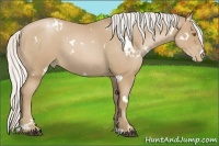 Horse Color:White Spotted Silver Blue Roan Pearl