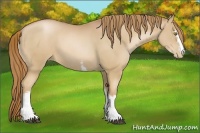 Horse Color:White Spotted Chestnut Pearl 