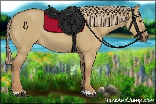 Horse Color:Palomino Dun Rabicano 