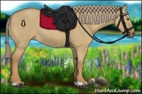 Horse Color:Palomino Dun Rabicano
