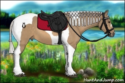 Horse Color:Silver Buckskin Tobiano 