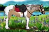 Horse Color:Silver Buckskin Tobiano 